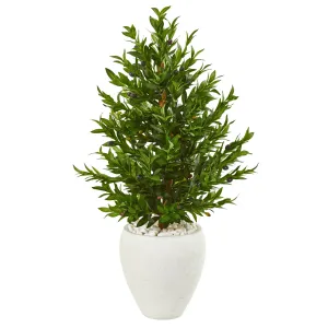 3.5' Artificial Olive Cone Topiary Tree in White Planter UV Resistant (Indoor/Outdoor) - Low Maintenance, Life-Like & Vibrant Silk Trees For Busy People.