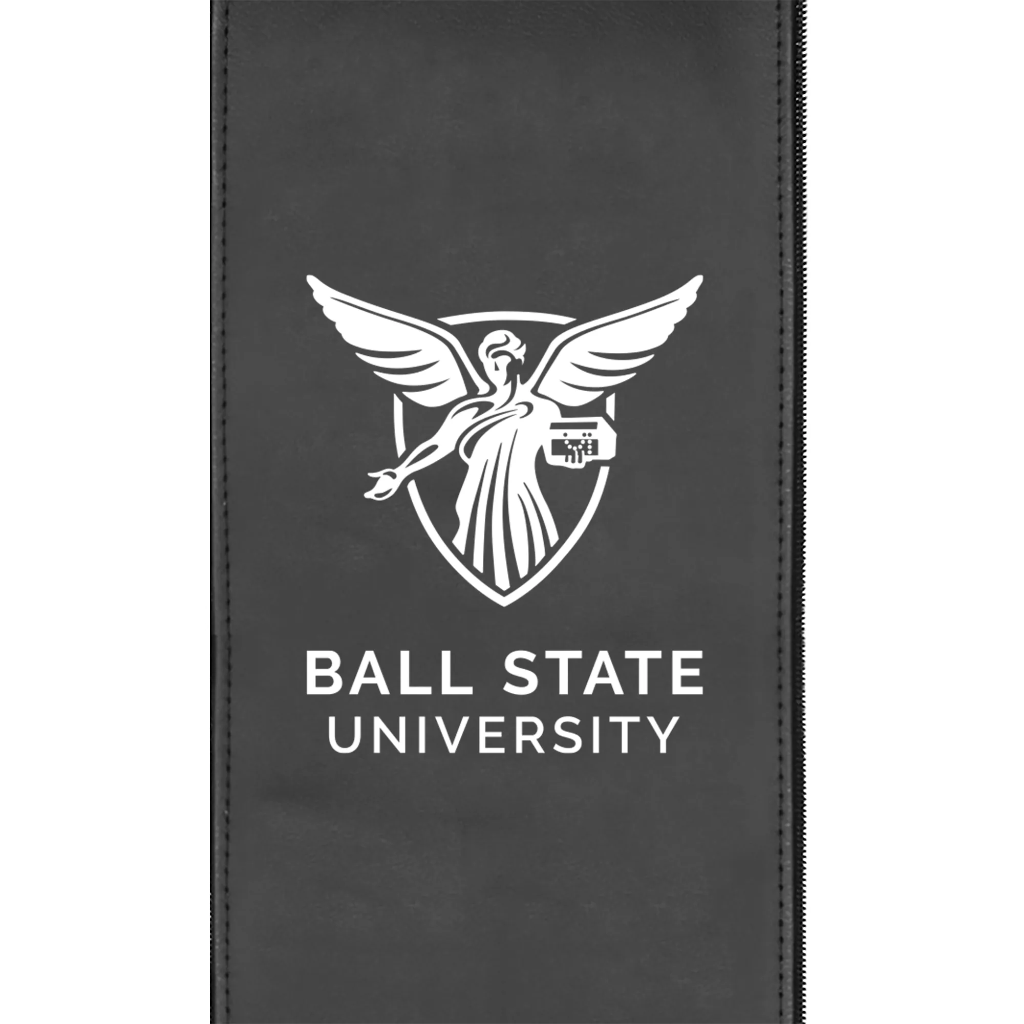 Ball State University Logo Panel