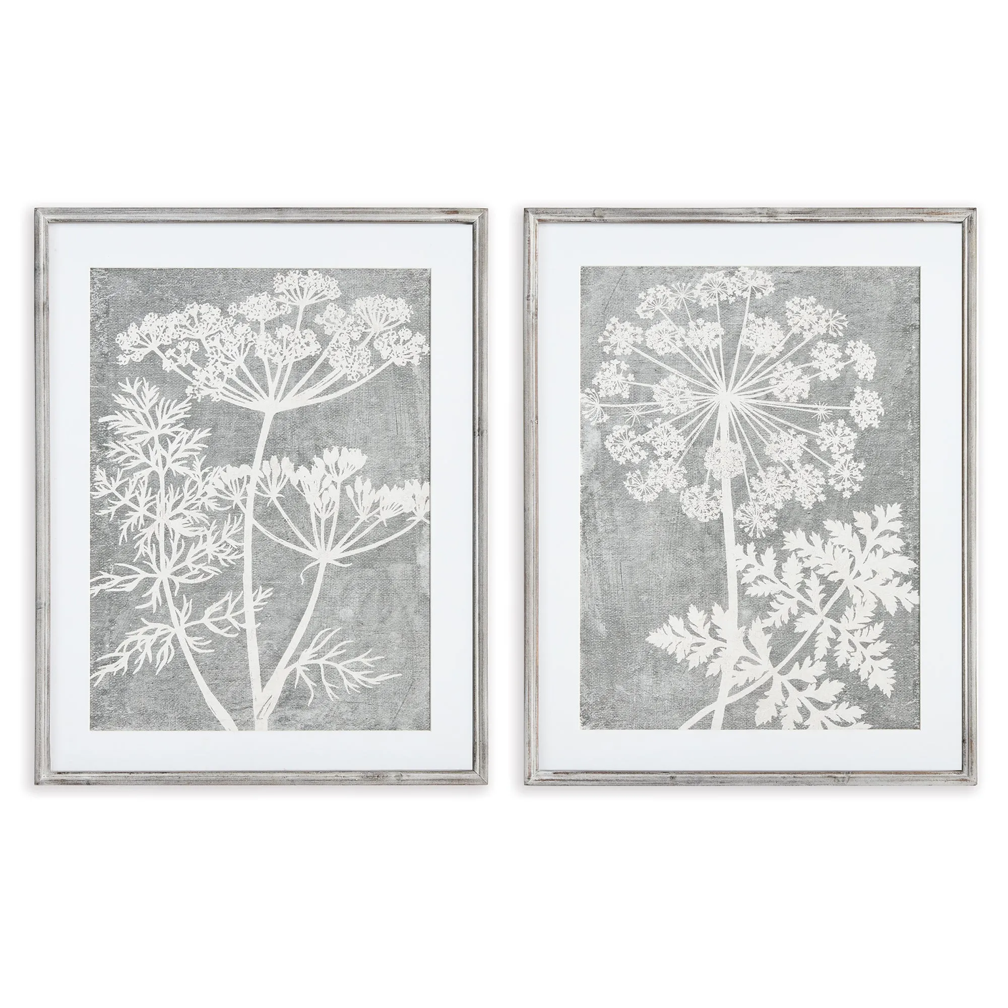 BLOOMING QUEEN ANNE'S LACE PRINTS, SET OF 2 BY NAPA HOME & GARDEN