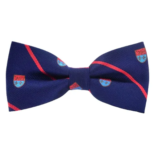 Classy Men Striped Fancy Bow Tie