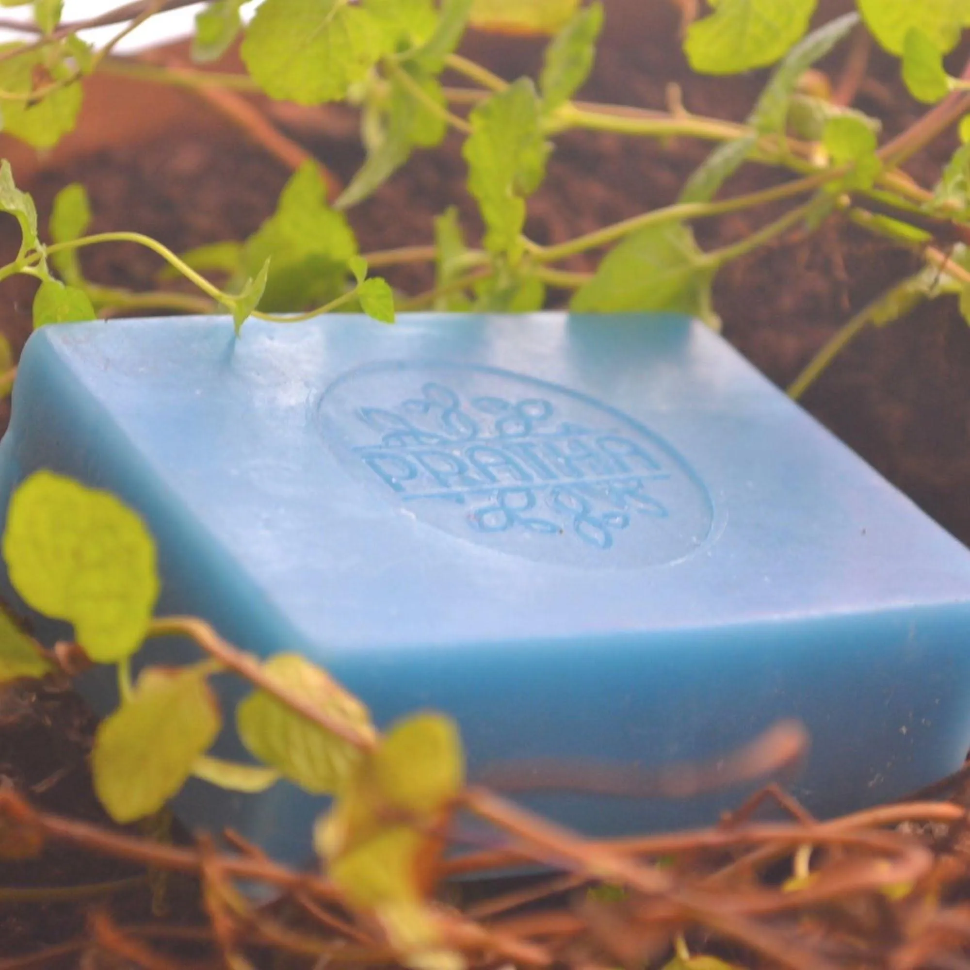 Sea Waves with Mint | Cold Process Handmade Soap