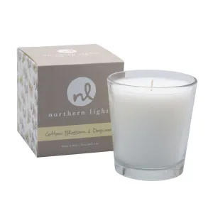 White Candle - Cotton Blossom & Dogwood